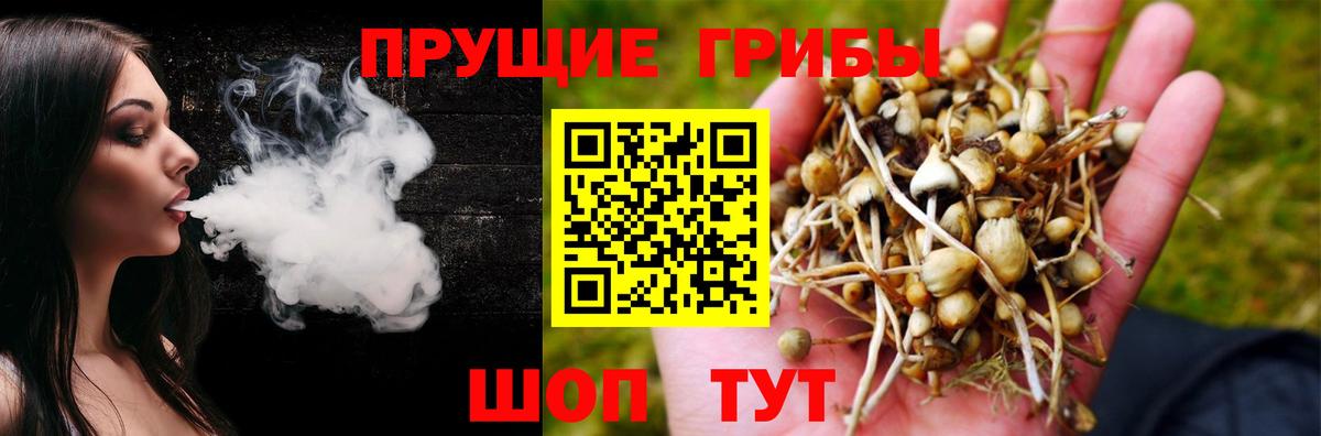 Галлюциногенные грибы ЛСД Майкоп